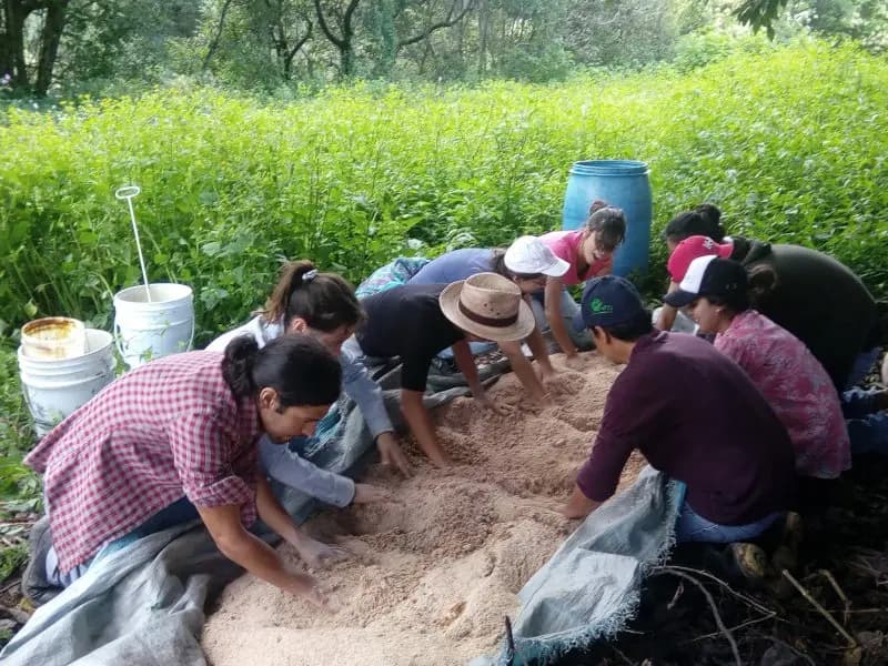 Capacitación