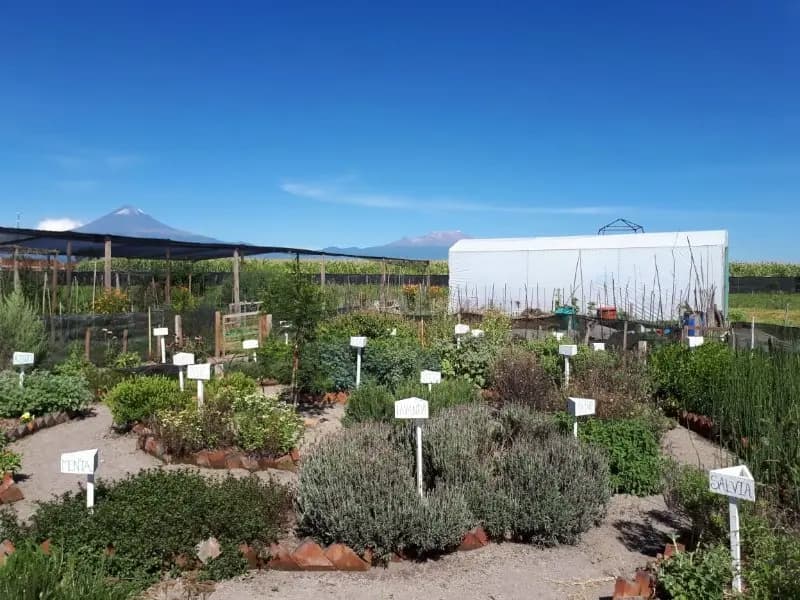 Jardín medicinal - Proyecto de ecodiseño TerraNostra en Puebla